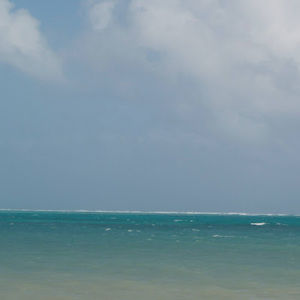 Meet your Posher, Whitney